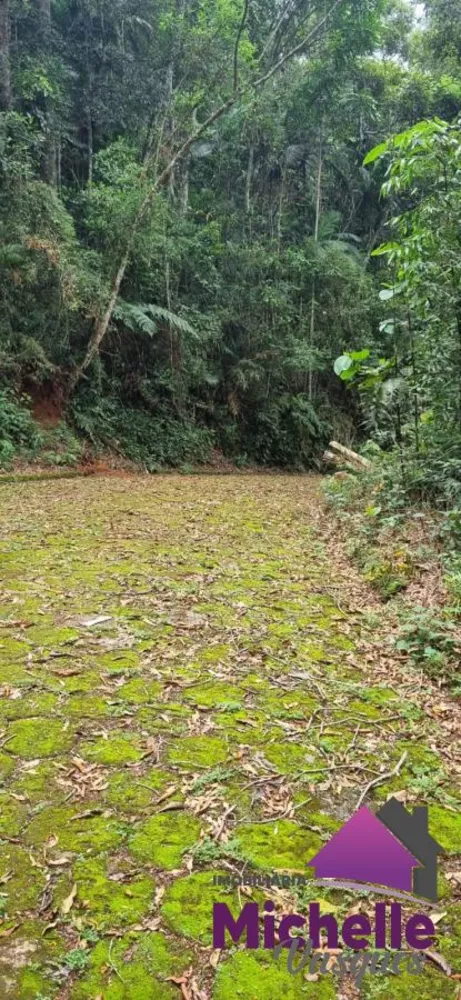 Terreno, 1316 m² - Foto 5