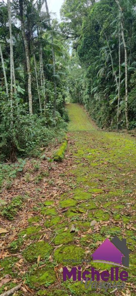 Terreno, 1316 m² - Foto 4