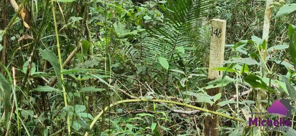 Terreno, 1316 m² - Foto 2