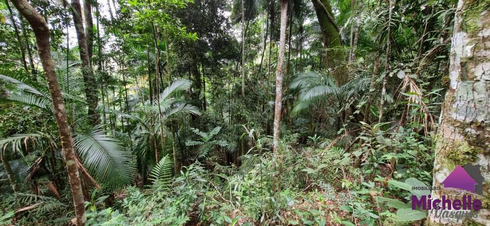 Terreno, 1316 m² - Foto 3