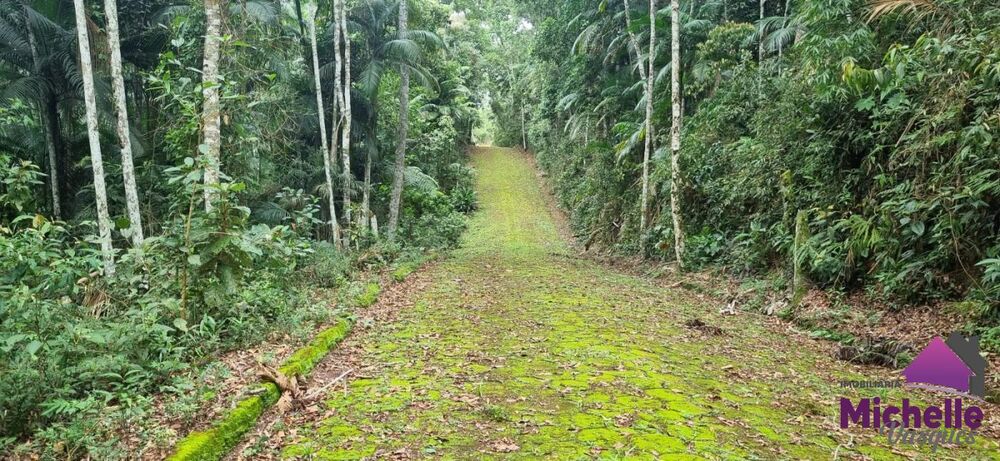 Terreno, 988 m² - Foto 4