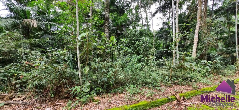 Terreno, 988 m² - Foto 2