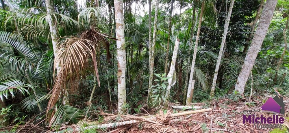 Terreno, 988 m² - Foto 3