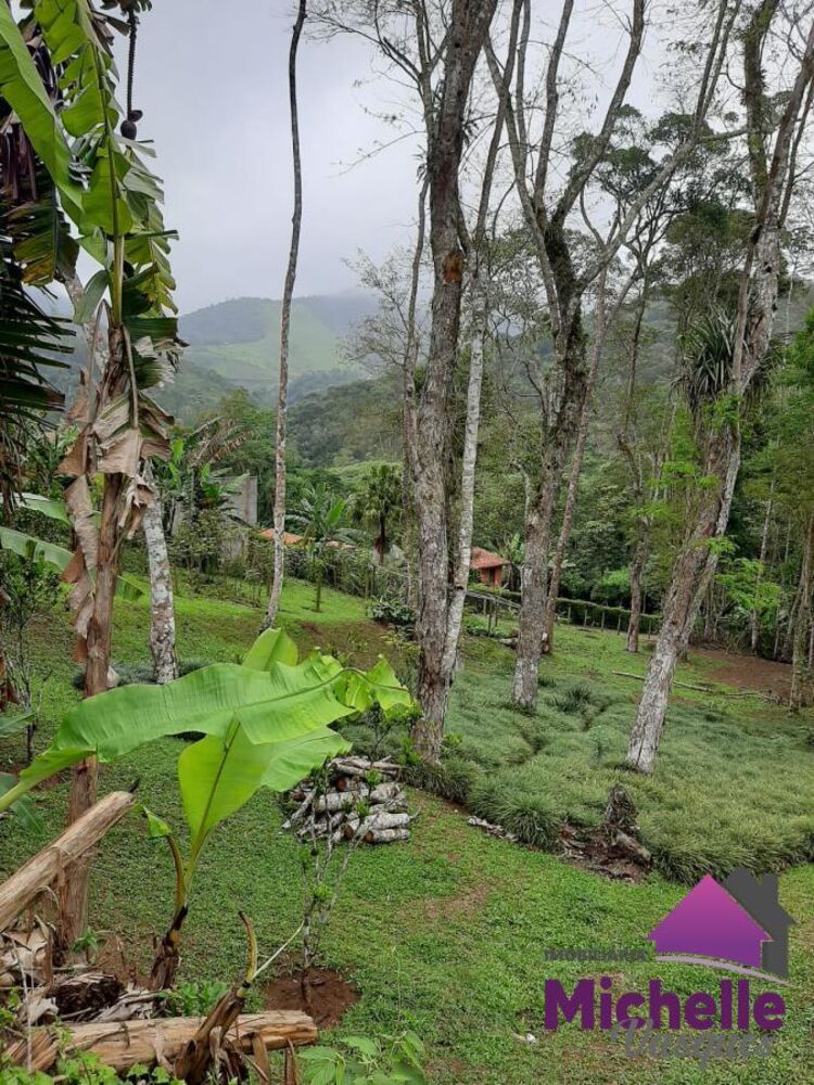 Sítio à venda com 2 quartos, 5940m² - Foto 3