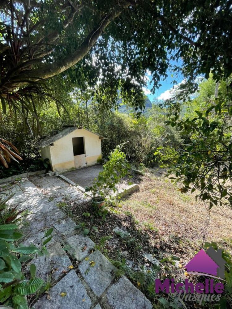 Sítio, 3 quartos, 2 hectares - Foto 4