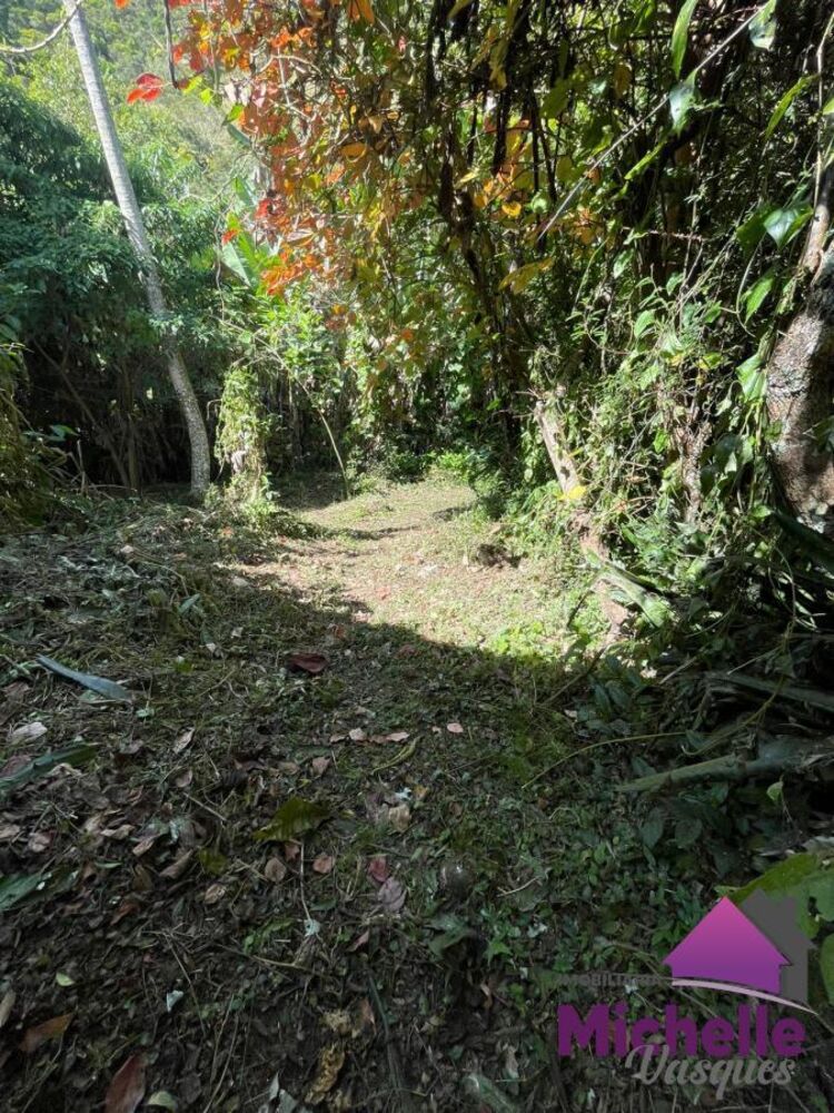 Sítio, 3 quartos, 2 hectares - Foto 6