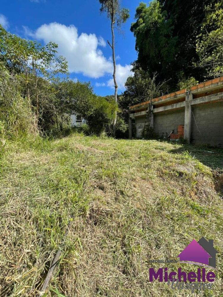 Sítio, 3 quartos, 2 hectares - Foto 7