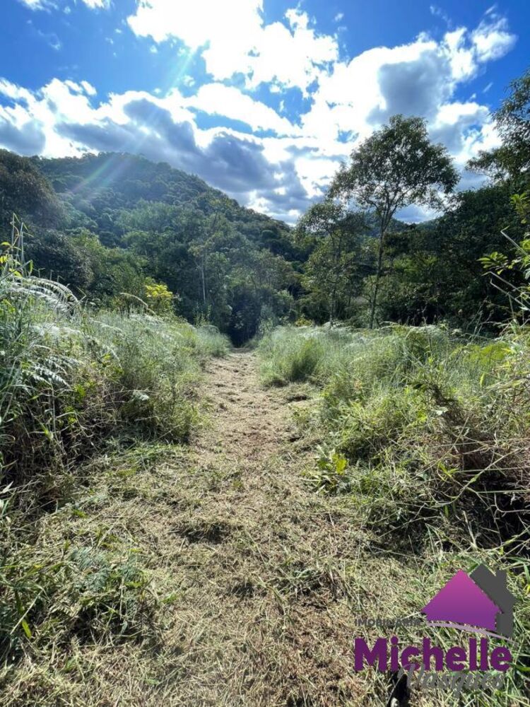 Sítio, 3 quartos, 2 hectares - Foto 21