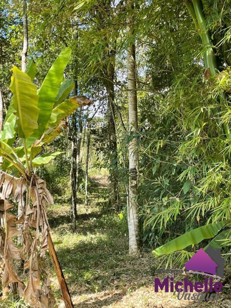 Sítio, 3 quartos, 2 hectares - Foto 18