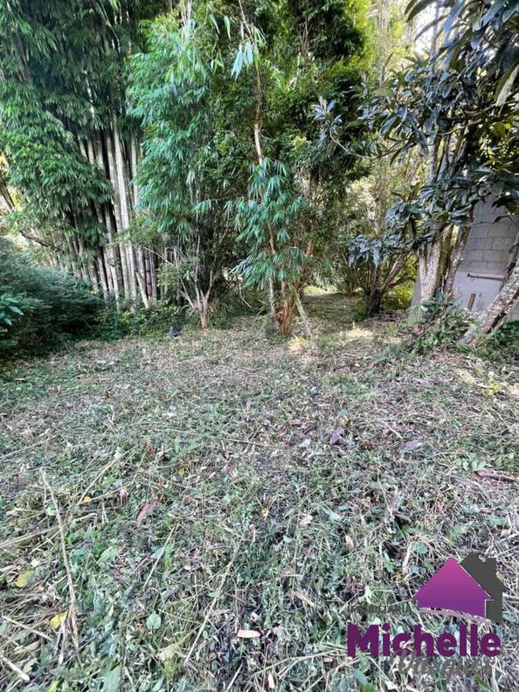 Sítio, 3 quartos, 2 hectares - Foto 16