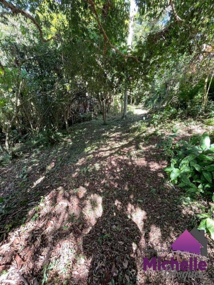 Sítio, 3 quartos, 2 hectares - Foto 8