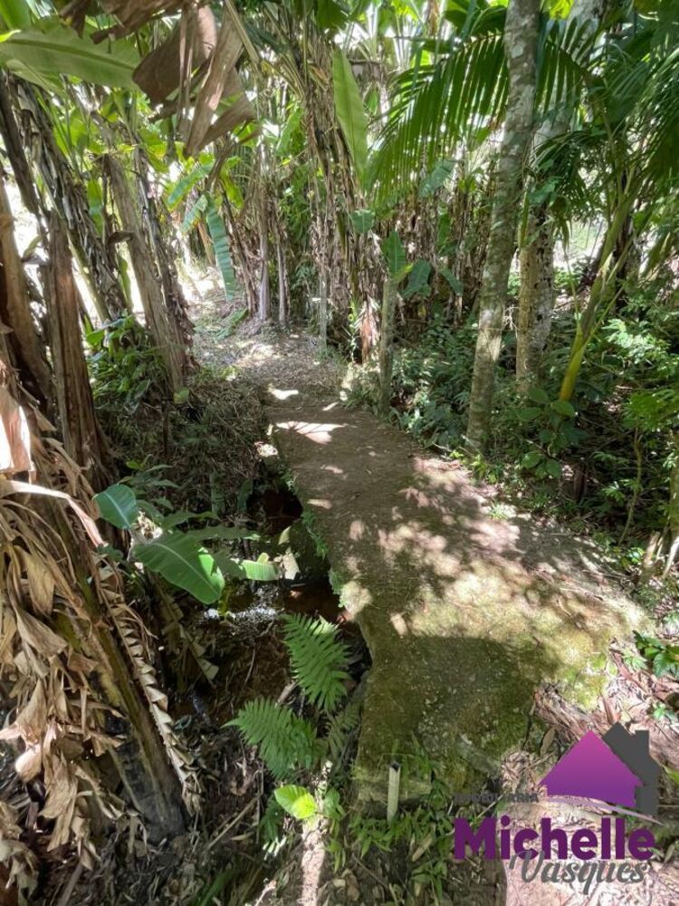 Sítio, 3 quartos, 2 hectares - Foto 12