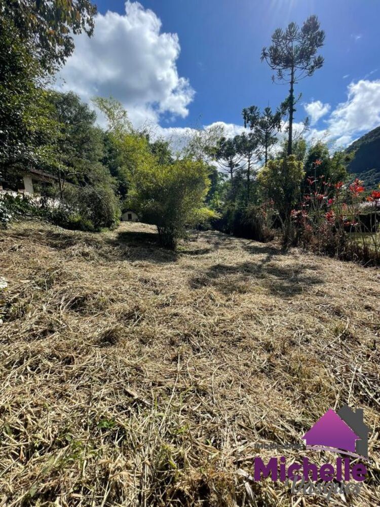 Sítio, 3 quartos, 2 hectares - Foto 17