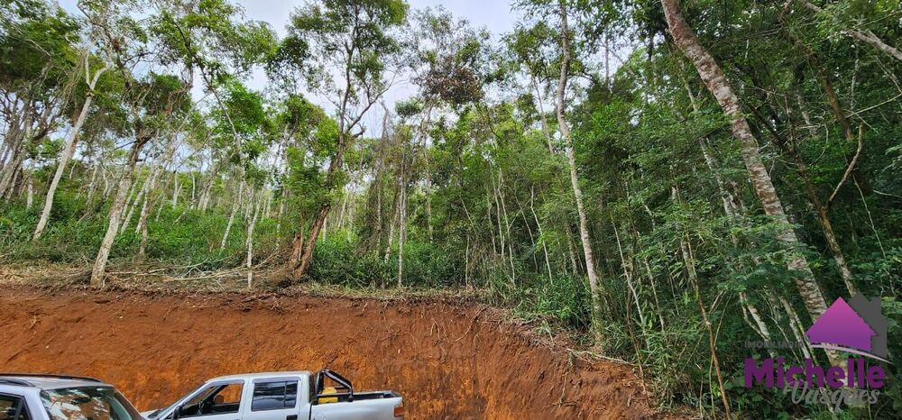 Terreno, 1560 m² - Foto 1