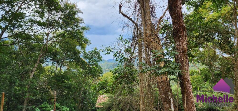 Terreno, 1560 m² - Foto 3