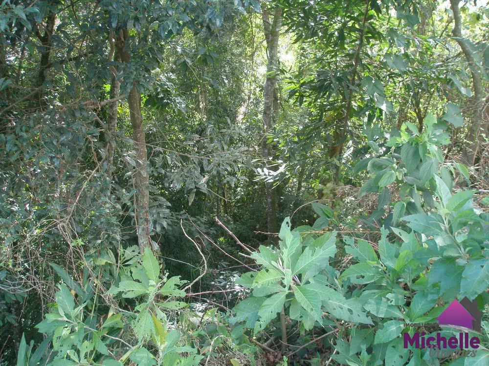 Terreno, 400 m² - Foto 6