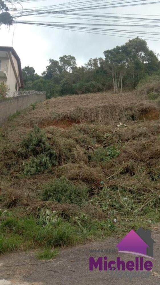 Terreno, 350 m² - Foto 4