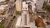 Apartamento, 1 quarto, 31 m² - Foto 1