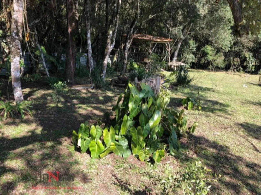 Terreno, 2600 m² - Foto 5