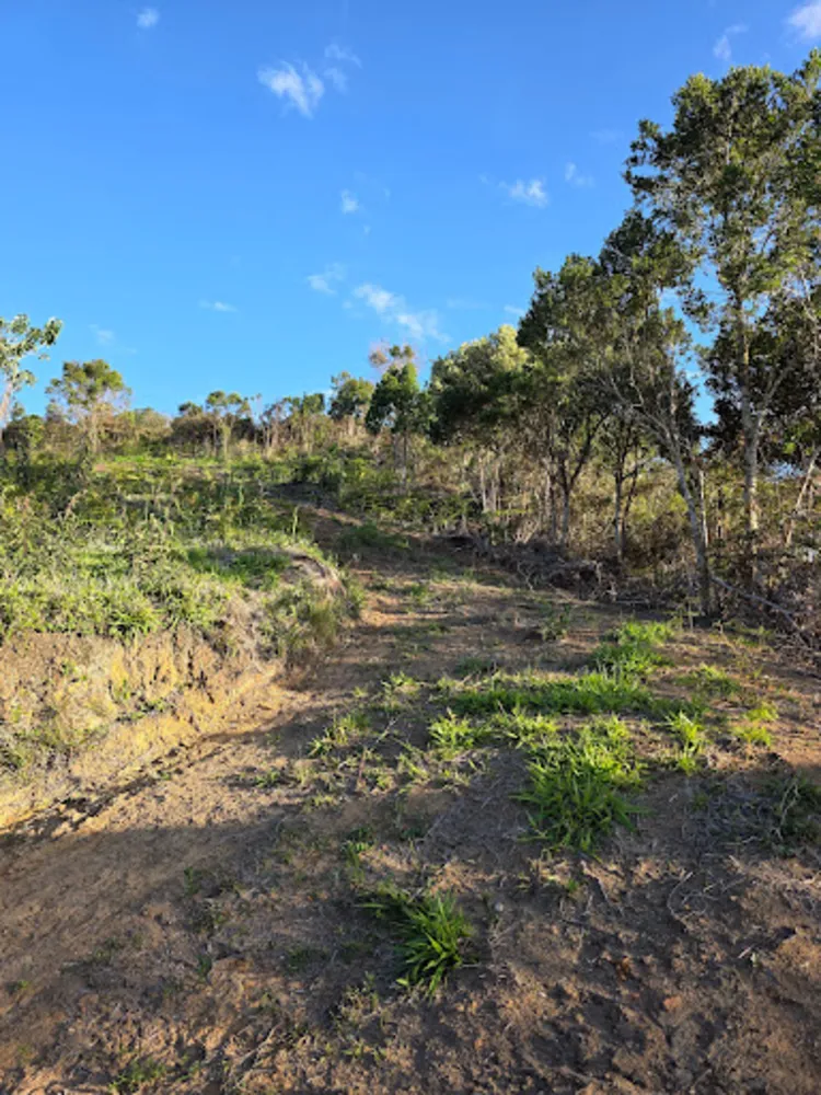 Terreno, 2 hectares - Foto 13