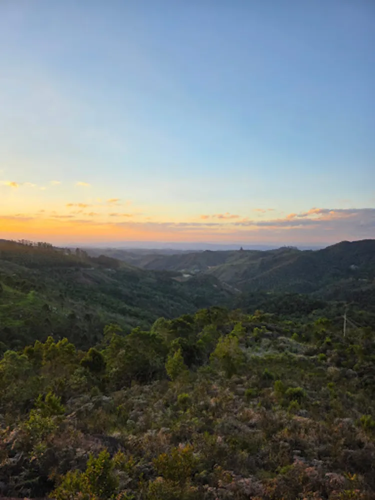 Terreno, 2 hectares - Foto 11