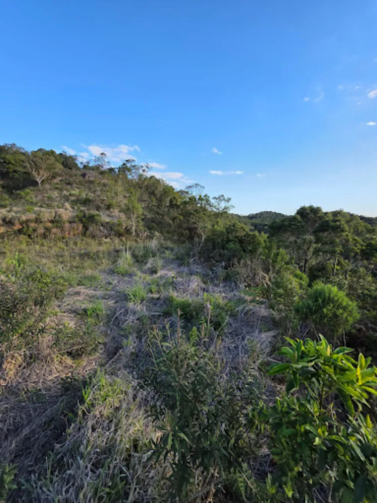 Terreno, 2 hectares - Foto 7