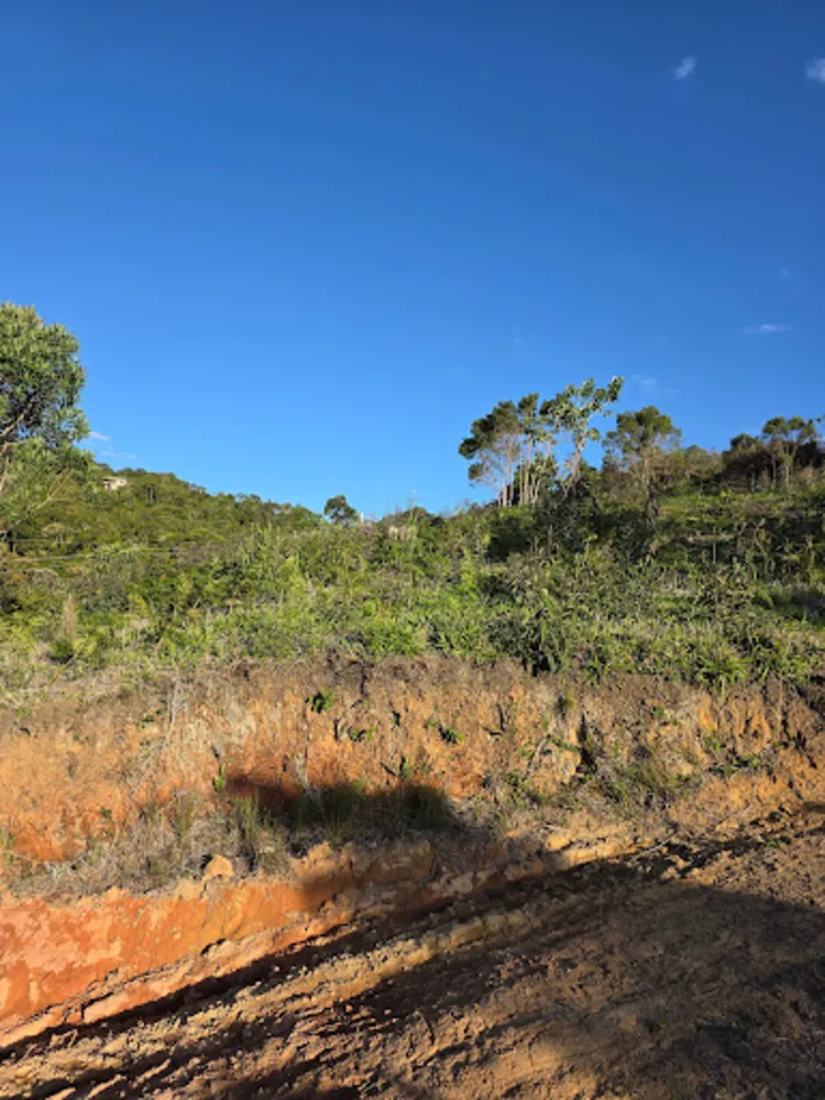 Terreno, 2 hectares - Foto 10