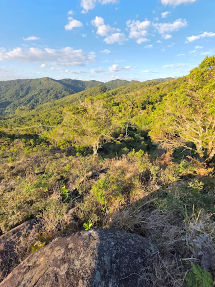 Terreno, 2 hectares - Foto 1