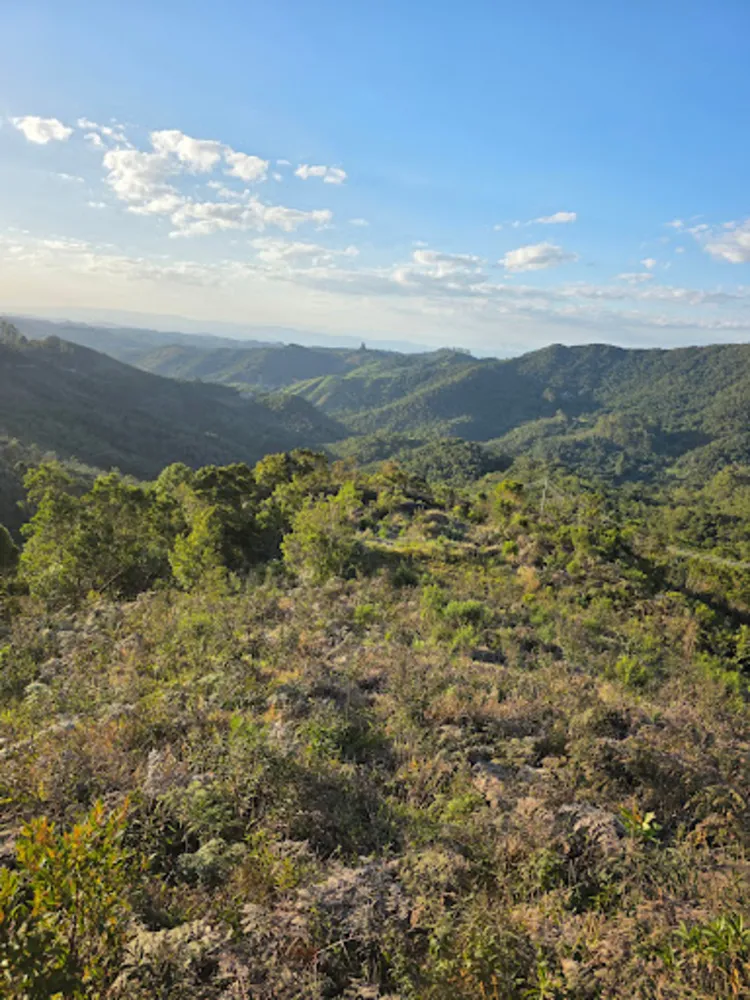 Terreno, 2 hectares - Foto 6