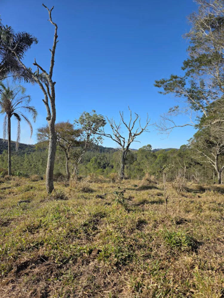 Chácara, 1 quarto, 2 hectares - Foto 4