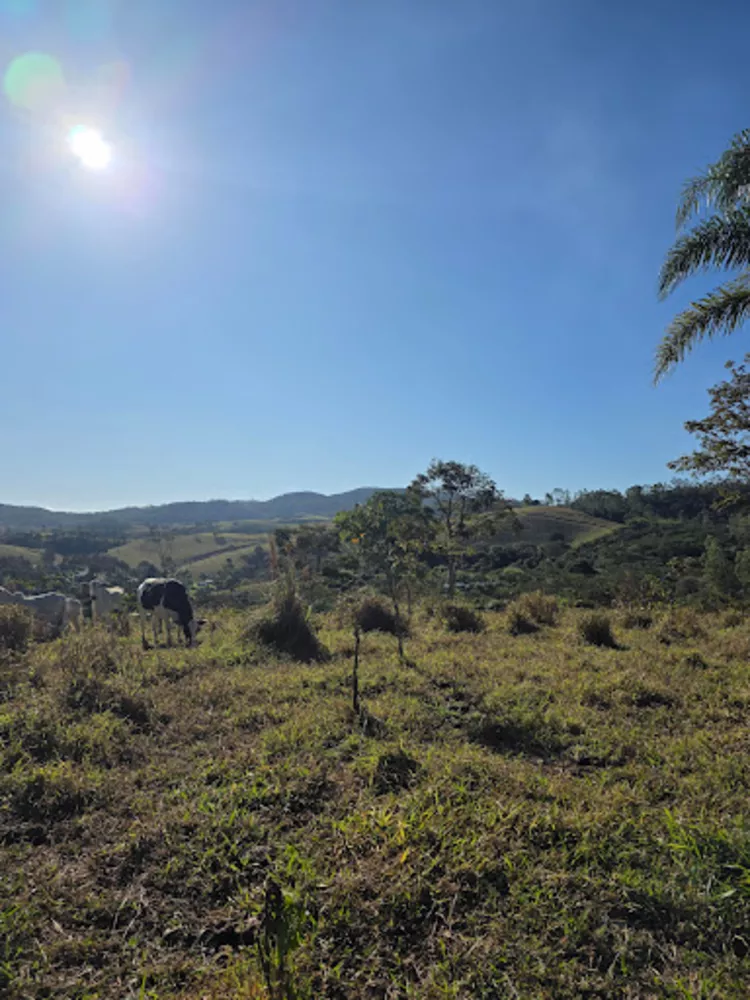 Chácara, 1 quarto, 2 hectares - Foto 3