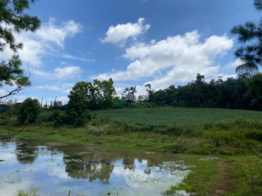 Fazenda à venda com 1 quarto, 400300m² - Foto 6