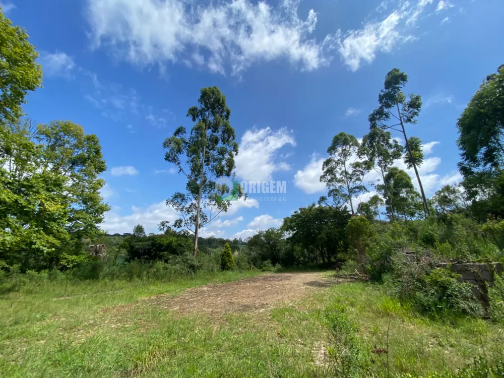 Fazenda à venda com 1 quarto, 400300m² - Foto 3