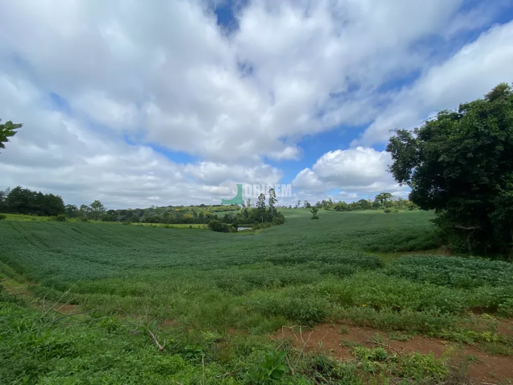 Fazenda à venda com 1 quarto, 400300m² - Foto 9