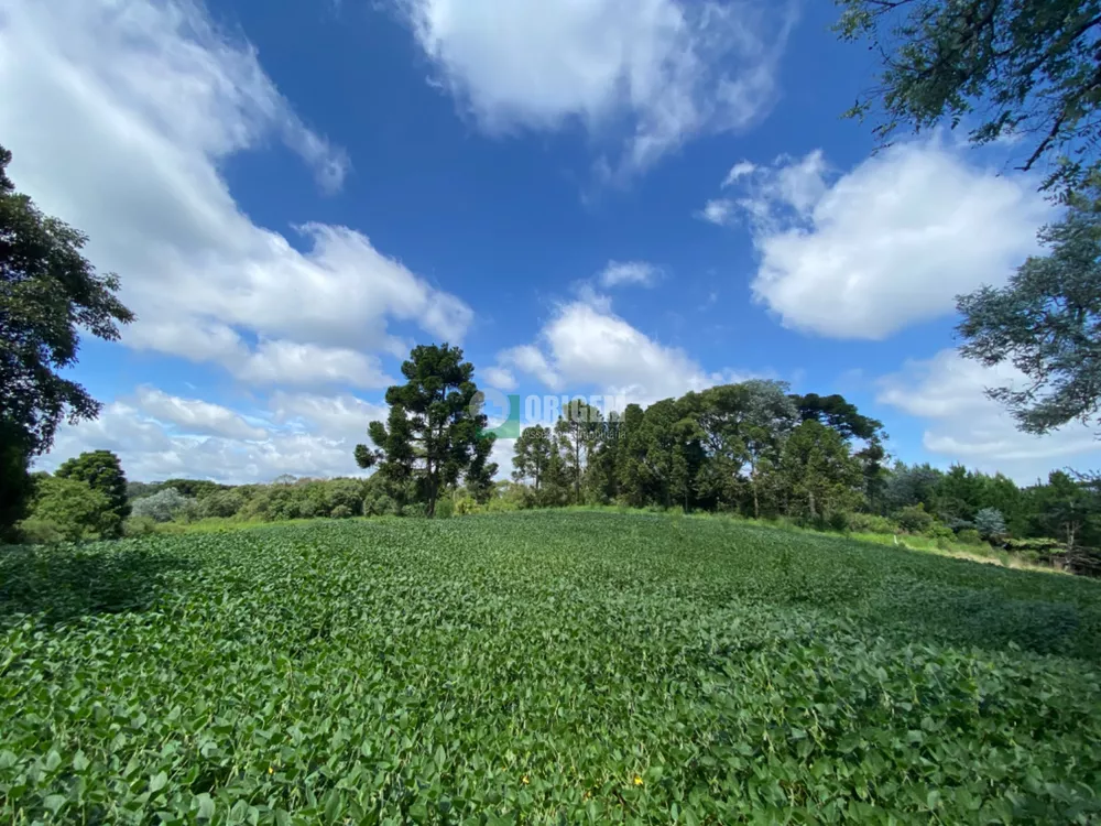 Fazenda à venda com 1 quarto, 400300m² - Foto 7