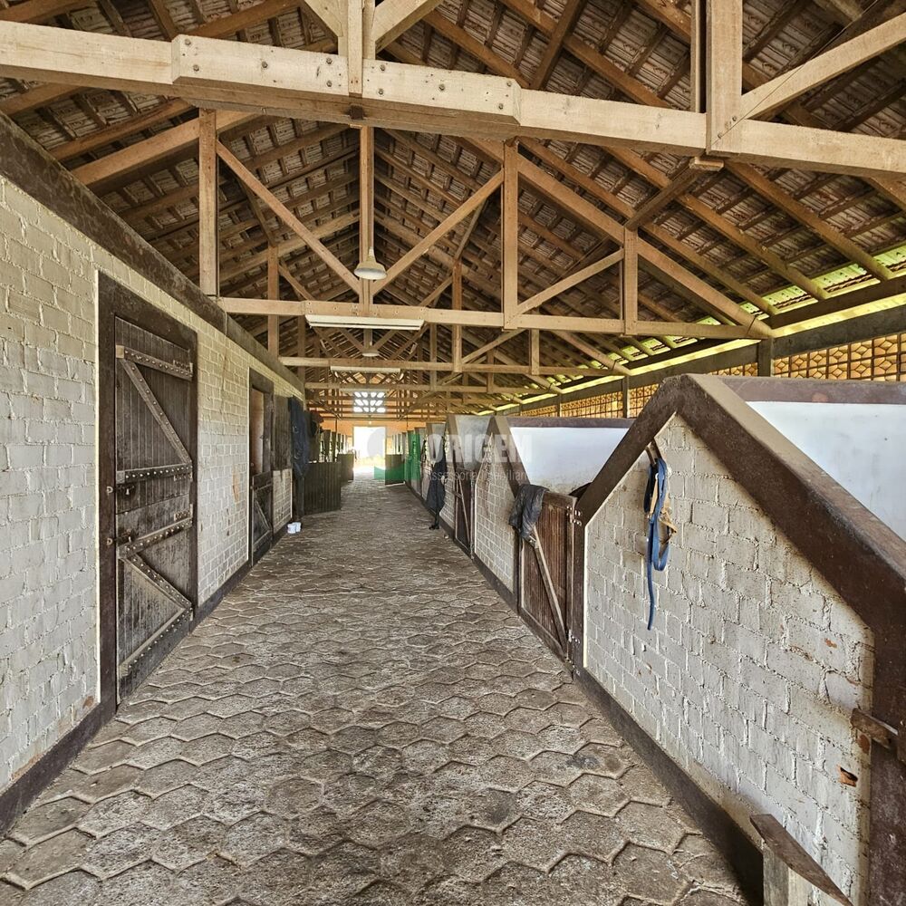 Fazenda, 34 hectares - Foto 2