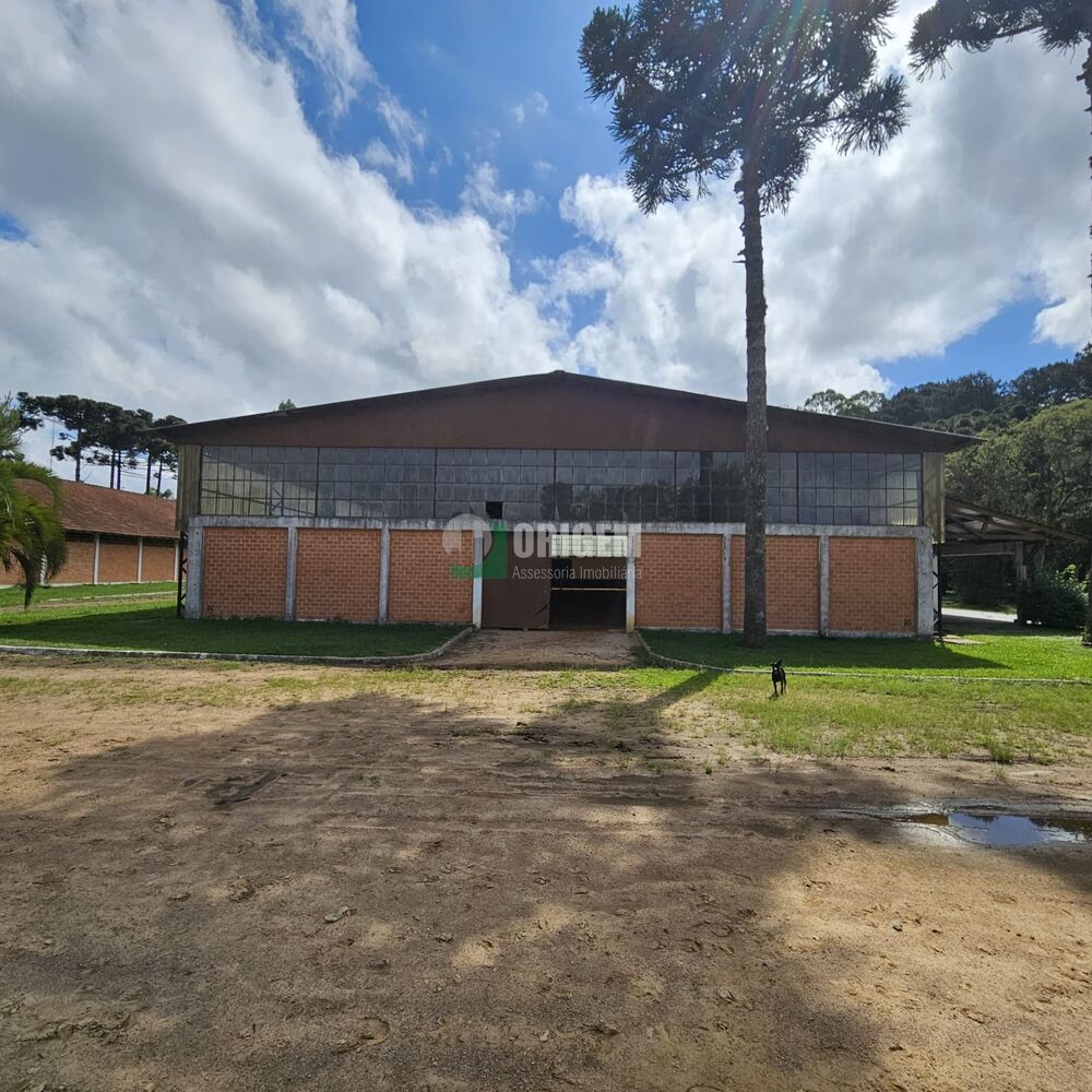 Fazenda, 34 hectares - Foto 3