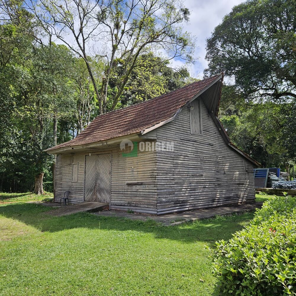 Fazenda, 34 hectares - Foto 6