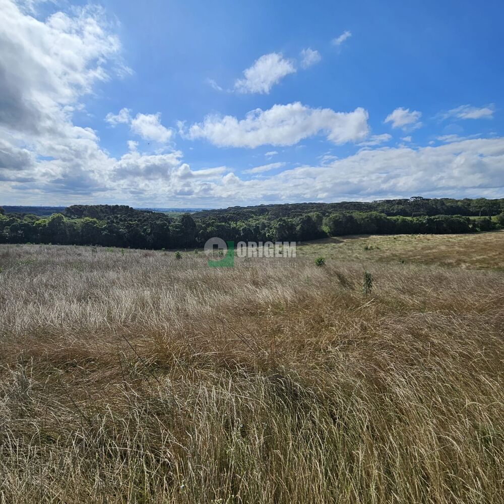 Fazenda, 34 hectares - Foto 7