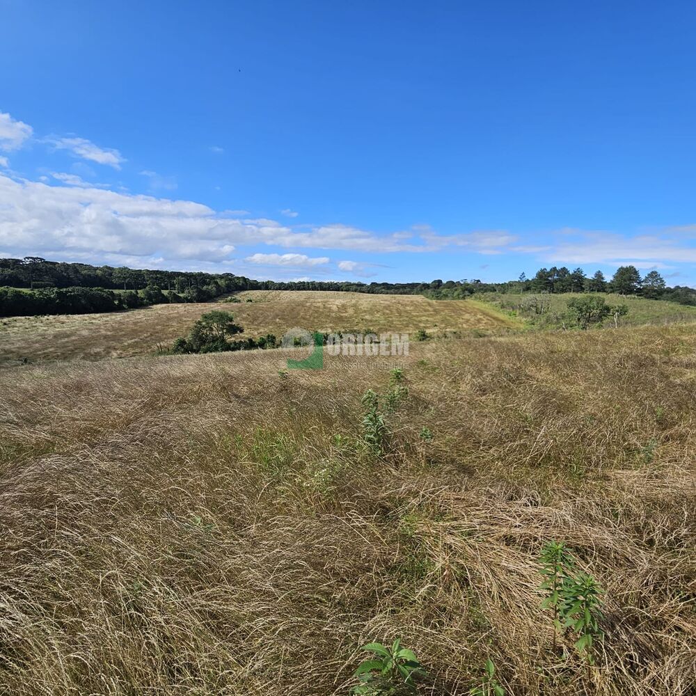 Fazenda, 34 hectares - Foto 8