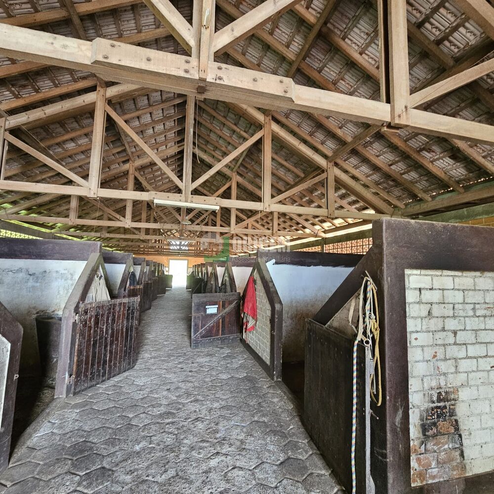 Fazenda, 34 hectares - Foto 1