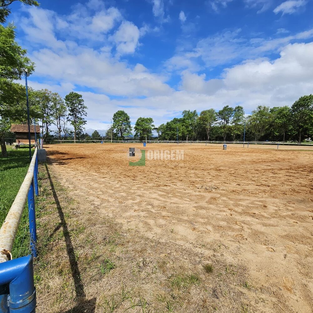 Fazenda, 34 hectares - Foto 4