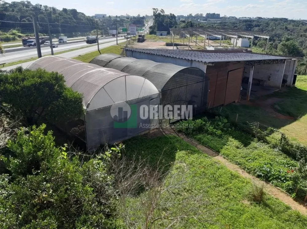 Depósito-Galpão-Armazém à venda com 4 quartos, 15542m² - Foto 15