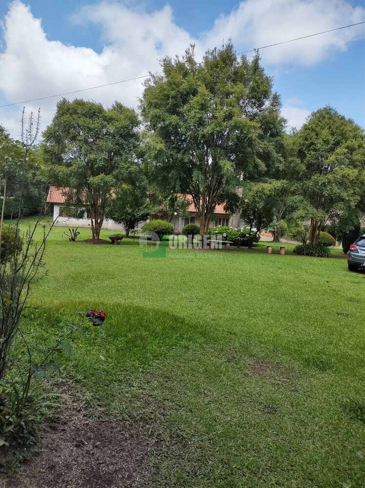 Chácara, 4 quartos, 2 hectares - Foto 7