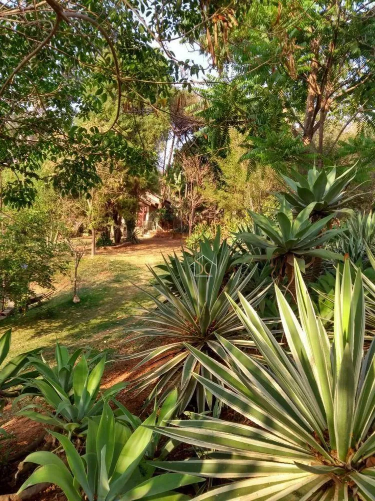 Chácara, 3 quartos, 2000 m² - Foto 8