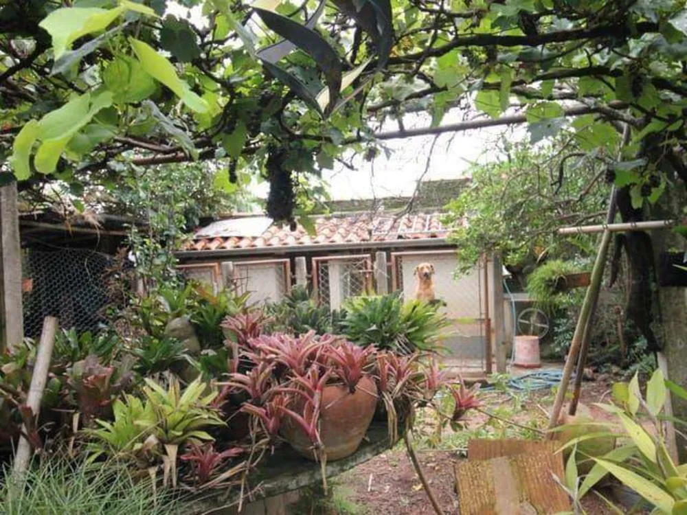 Chácara, 3 quartos, 1000 m² - Foto 1