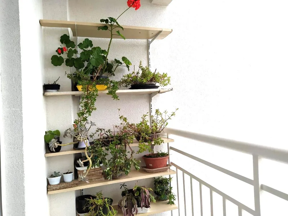 Apartamento, 2 quartos - Foto 8