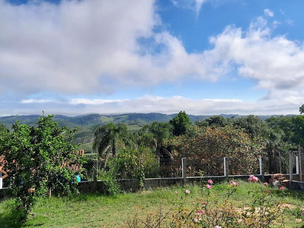 Chácara à venda com 3 quartos, 2400m² - Foto 3