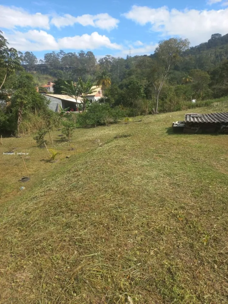 Terreno, 2642 m² - Foto 5
