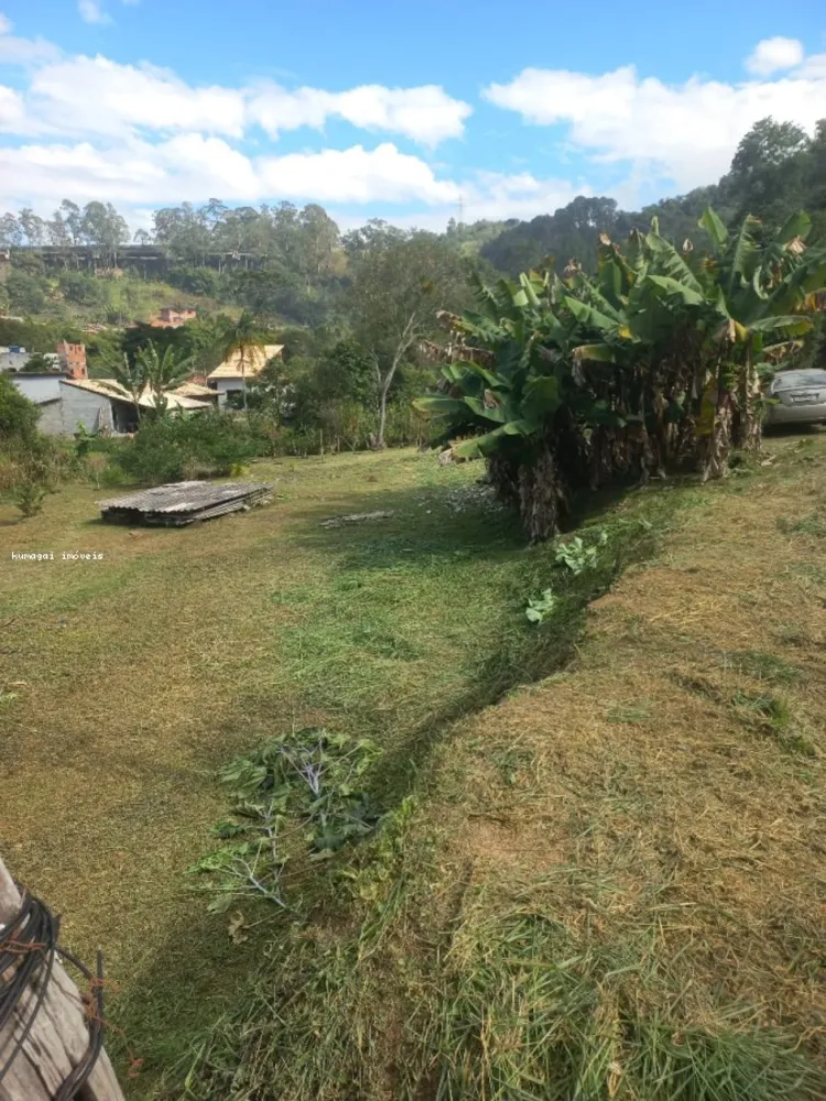 Terreno, 2642 m² - Foto 3